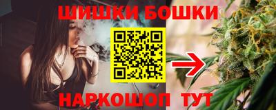 гашик Малгобек