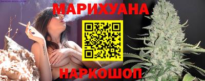гашик Малгобек
