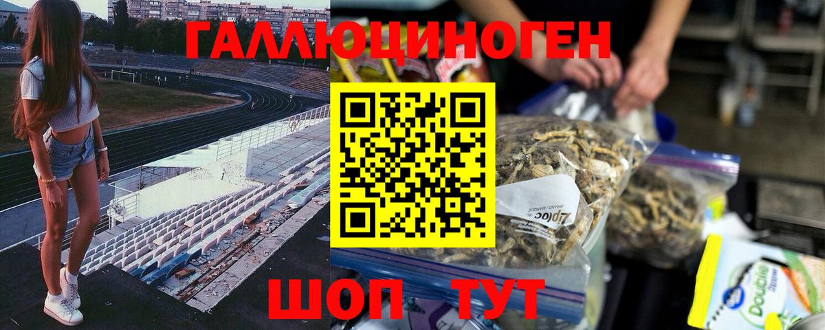 Соль-Илецк  Псилоцибиновые грибы Psilocybine cubensis  Вход с VPN  Псилоцибиновые грибы ЛСД 