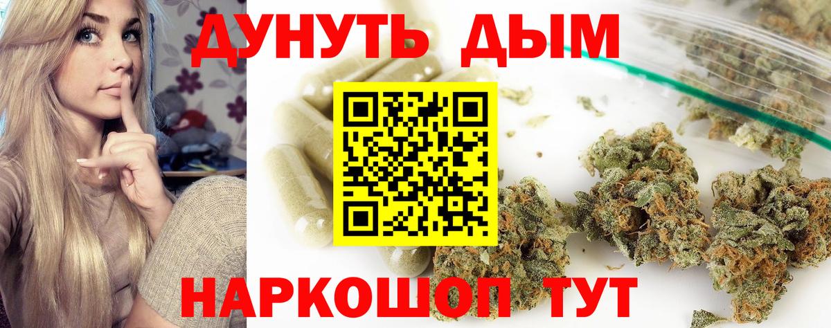 Бошки Шишки гибрид Соль-Илецк